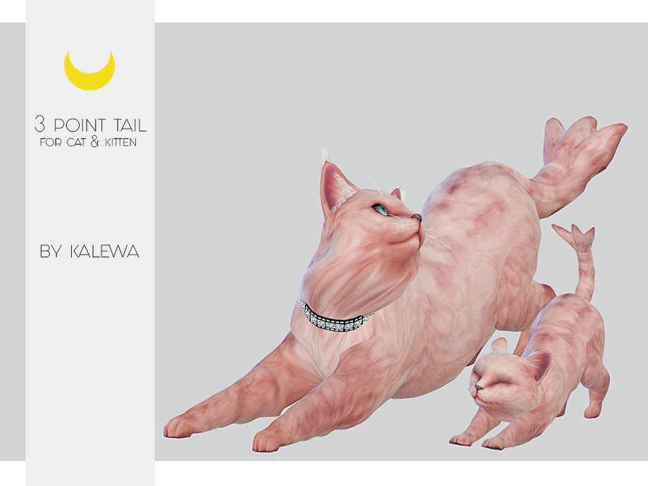 25+ Best SIMS 4 Pets CC Pack for Gamers in 2025 7 Kalewa a Cat Kitten Three Point Tail