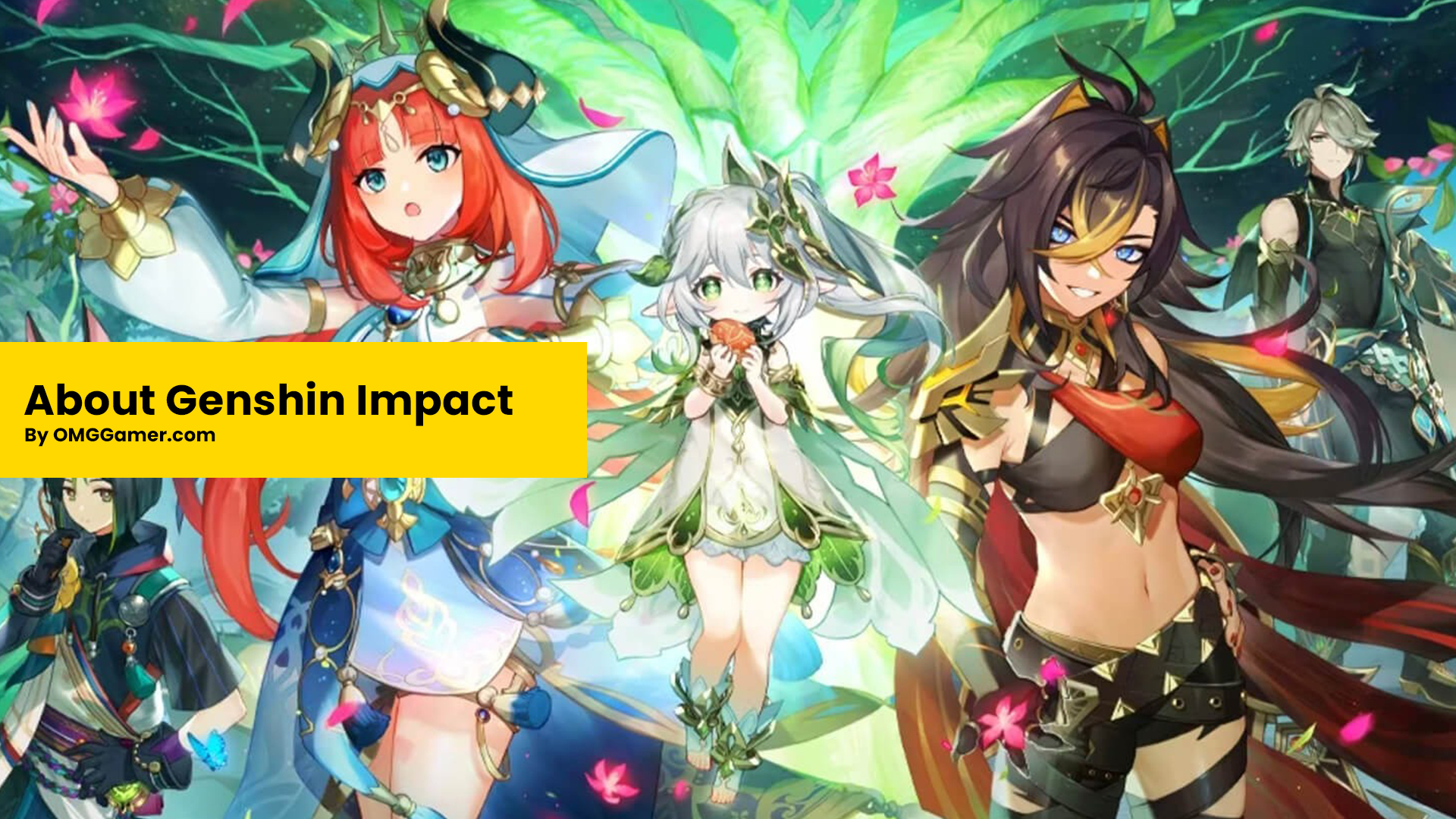 About Genshin Impact About Genshin Impact
