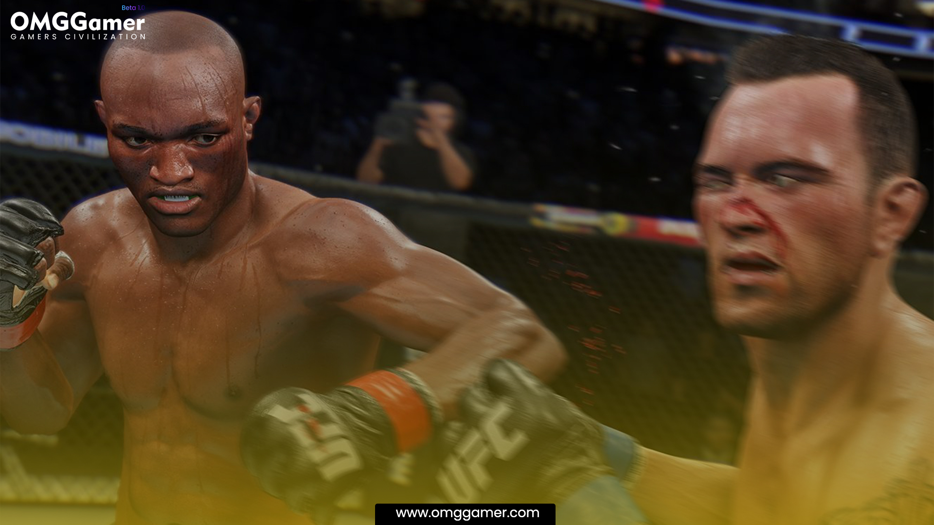 About UFC 4 About UFC 4