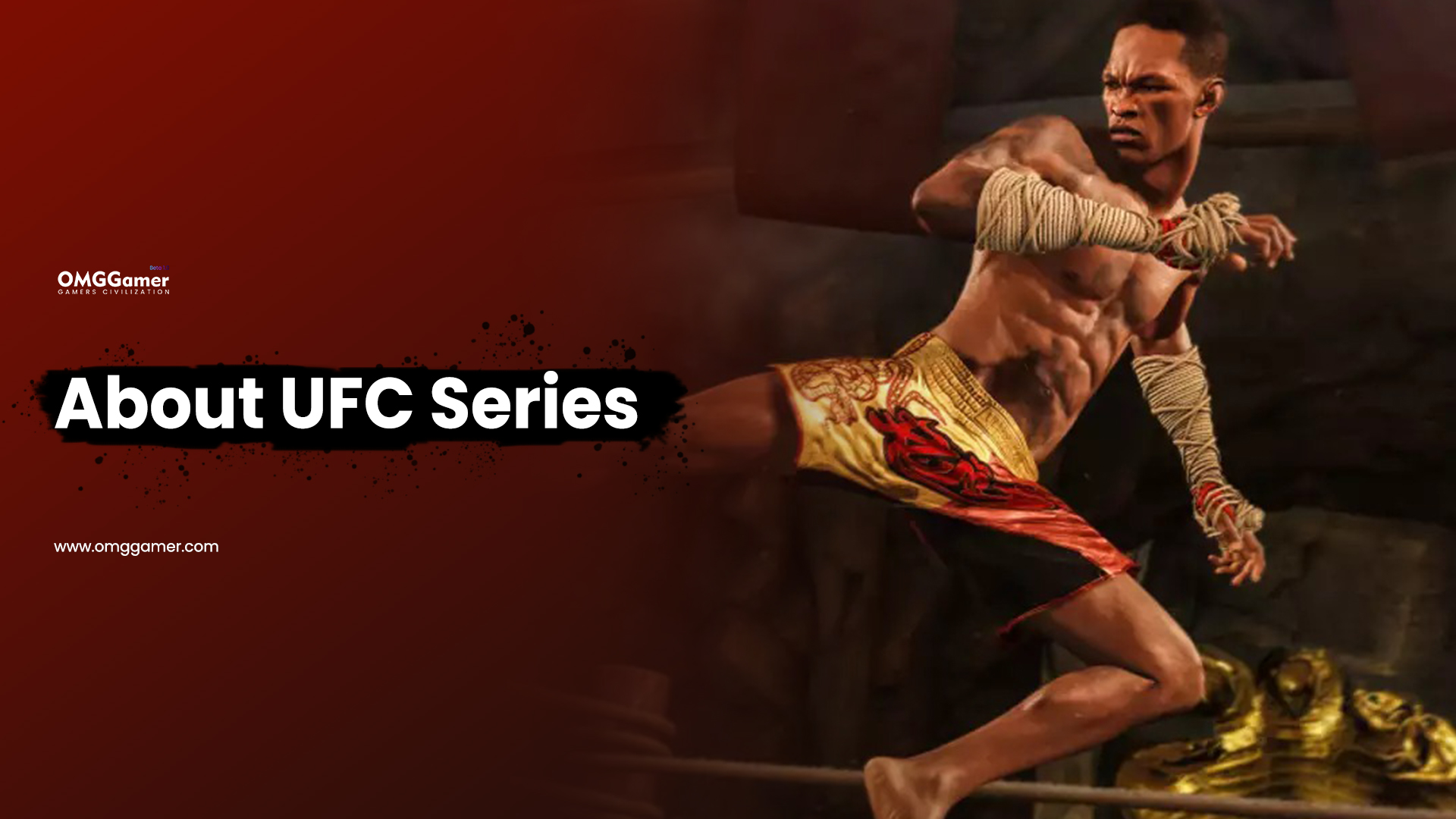 About UFC Series About UFC Series