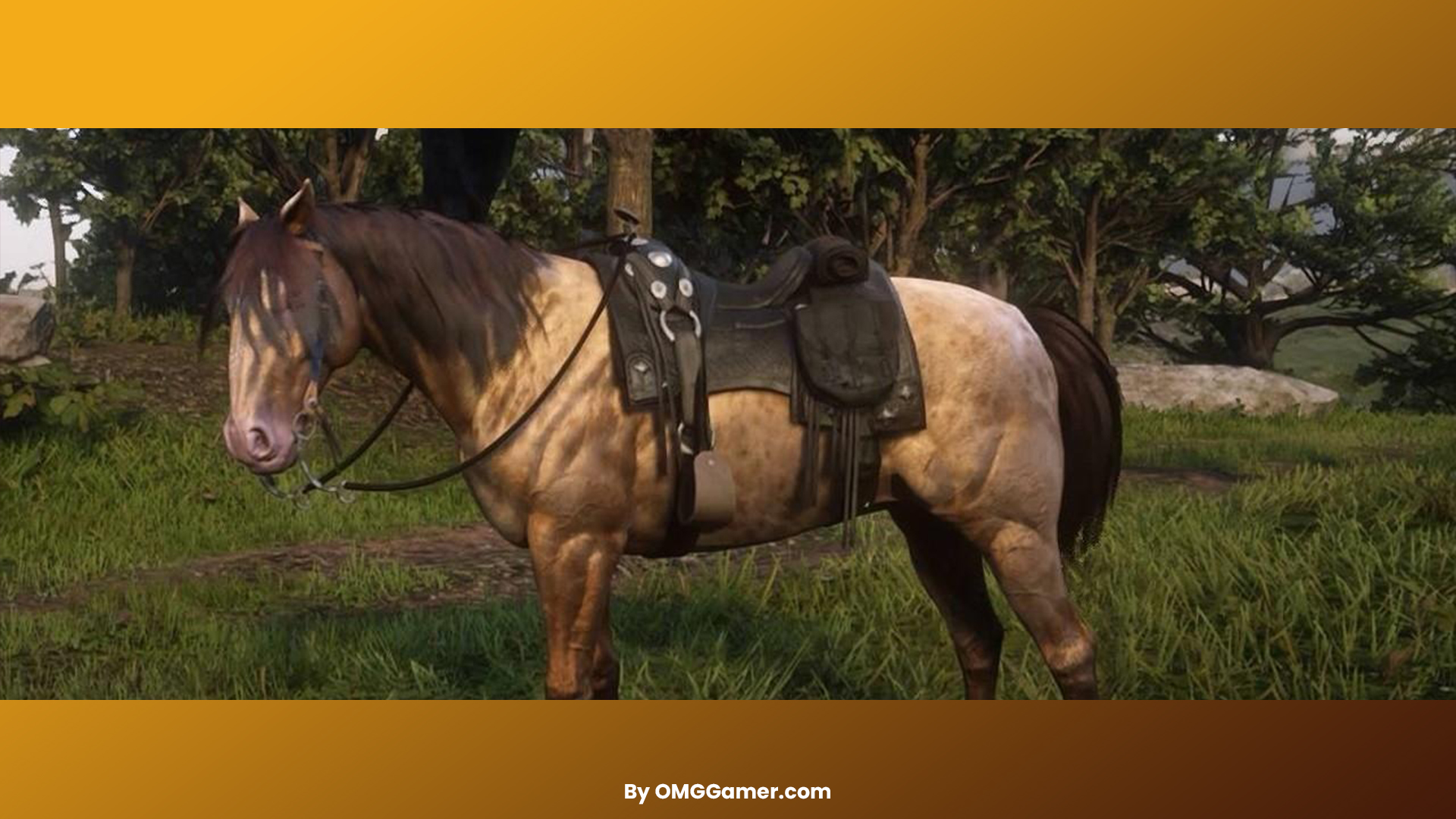 Amber Champagne Missouri Fox Trotter horse Amber Champagne Missouri Fox Trotter horse