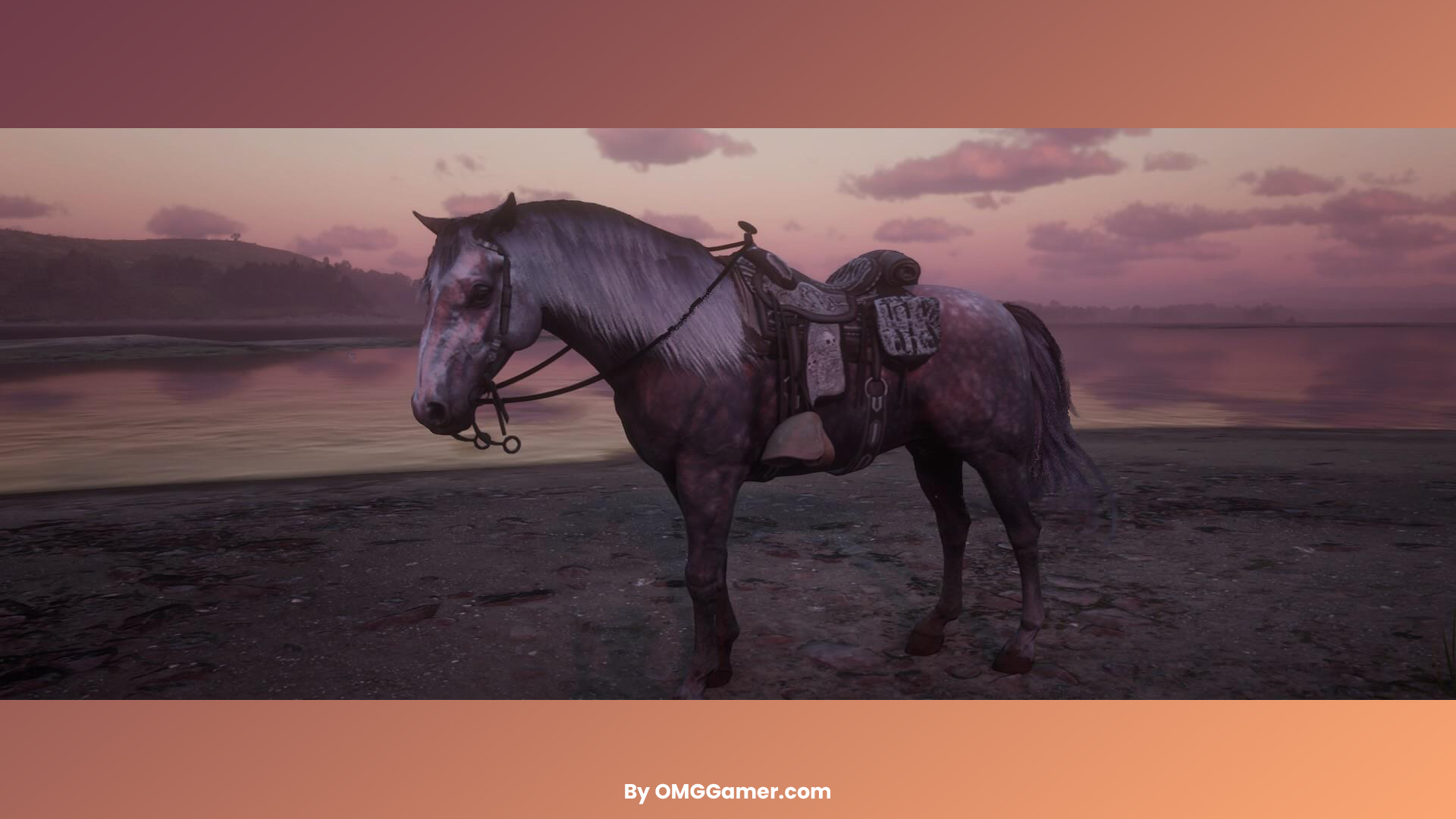 Andalusian (Rose Grey) Andalusian (Rose Grey)