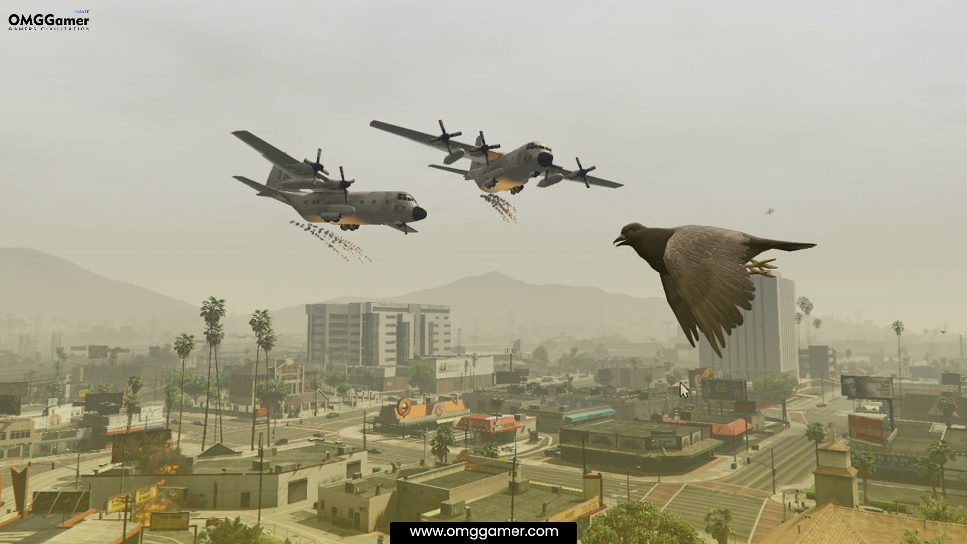 Angry Planes Angry Planes