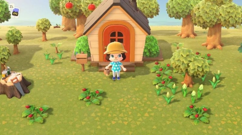 Animal-Crossing-Tips Animal-Crossing-Tips