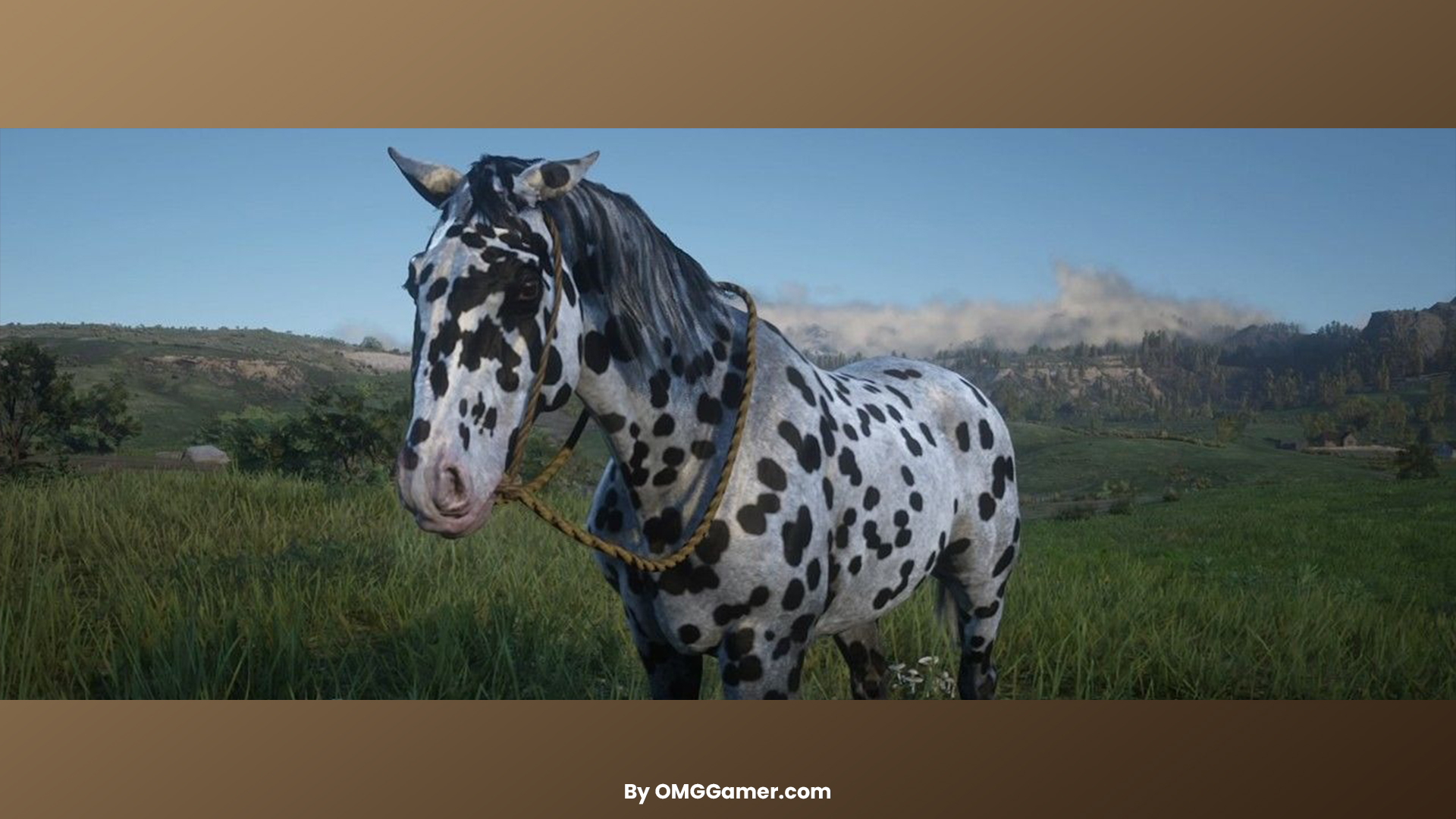 Appaloosa (Leopard) Appaloosa (Leopard)