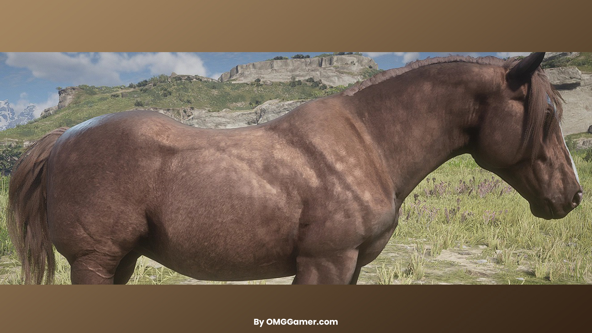 Breton (Red Roan) Breton (Red Roan)