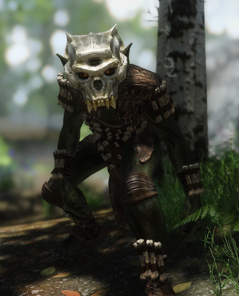 Bruiser-skyrim Bruiser-skyrim