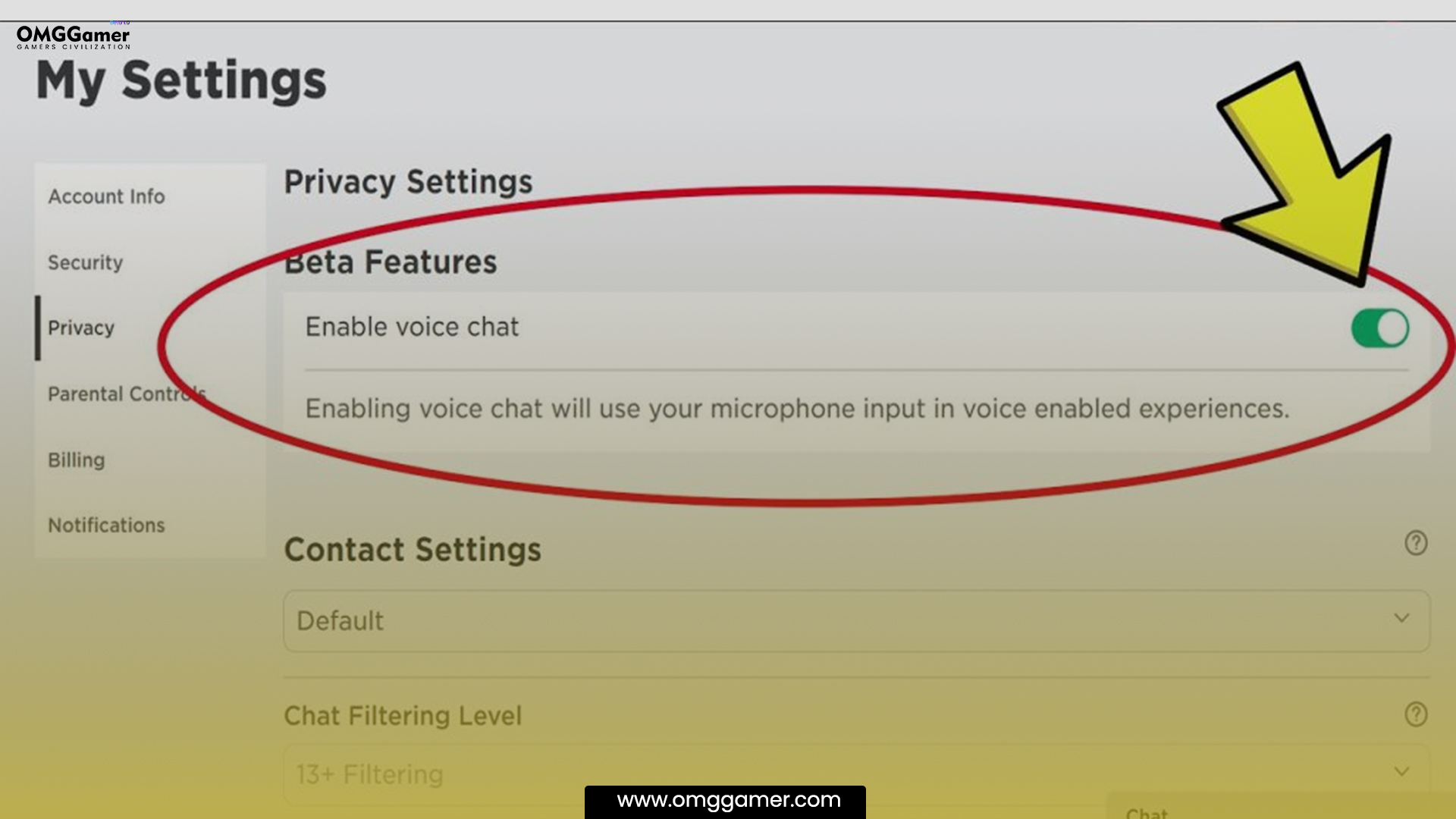 Enable Voice Chat Enable Voice Chat