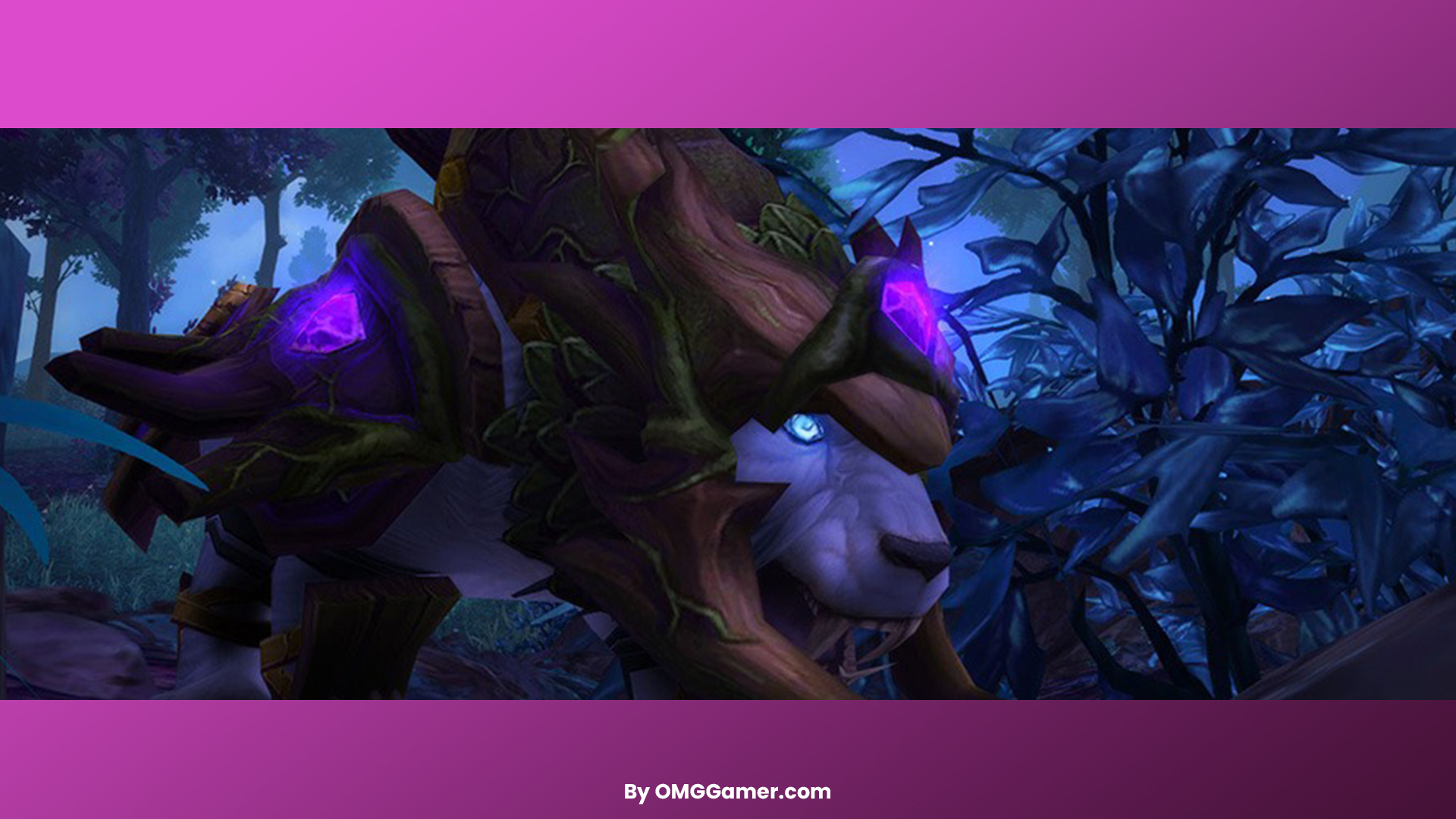 Feral Druid Feral Druid