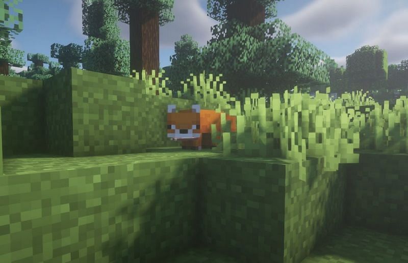 Fox-Location-in-Minecraft Fox-Location-in-Minecraft