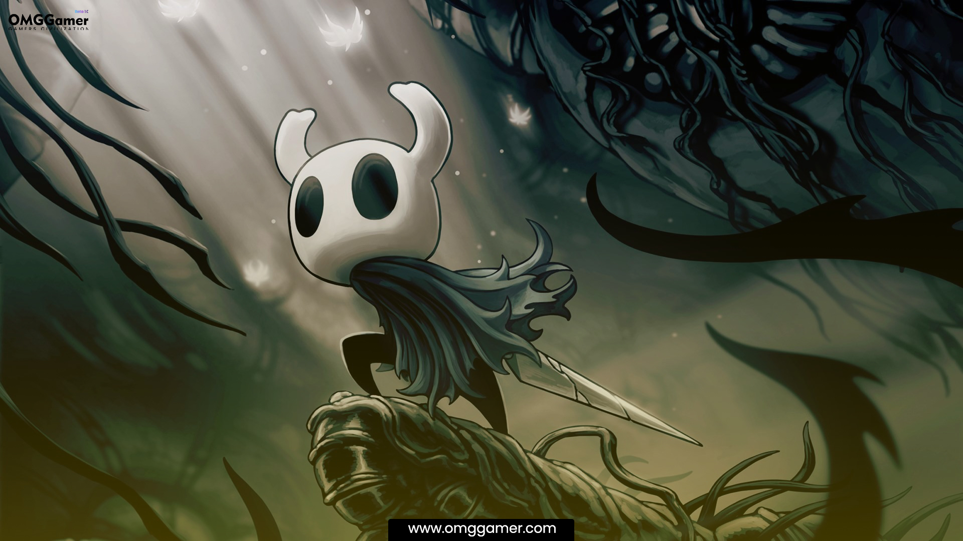 Hollow Knight Hollow Knight
