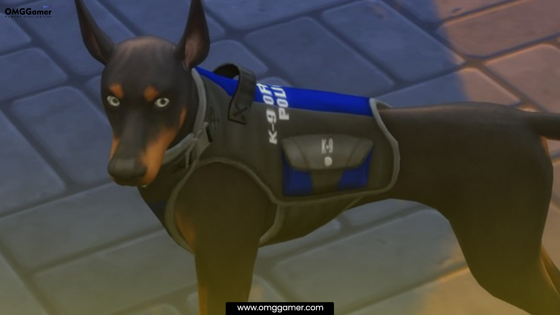 K9 Officer Vest And Collar K9 Officer Vest And Collar