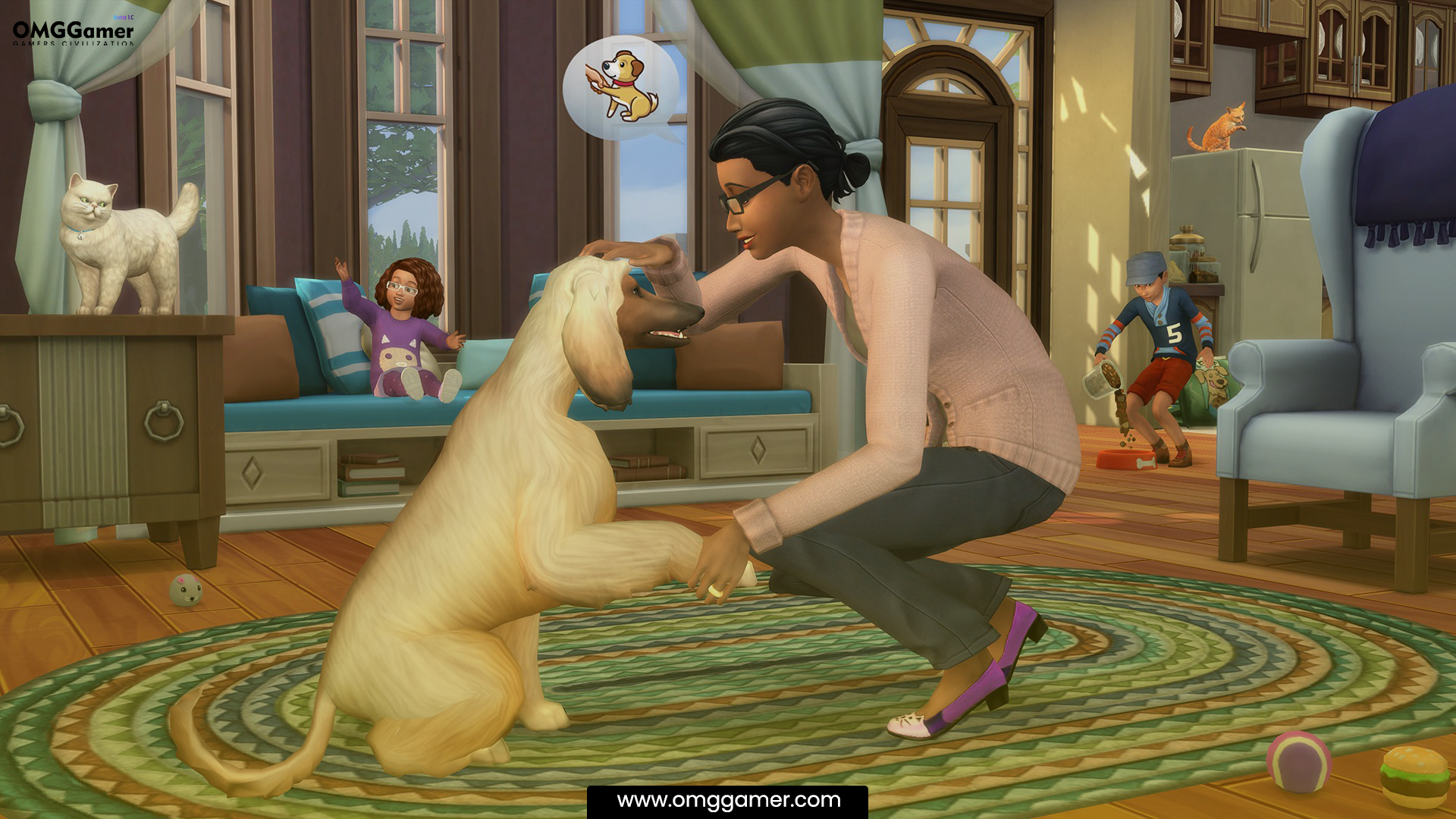 Minor Pet Traits Minor Pet Traits