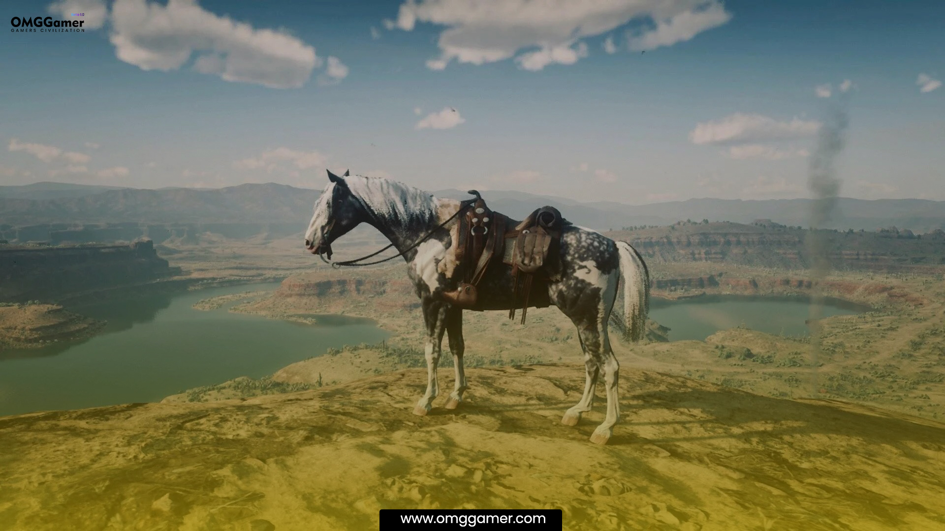 Missouri Fox Trotter RDR 2 Horse Missouri Fox Trotter RDR 2 Horse