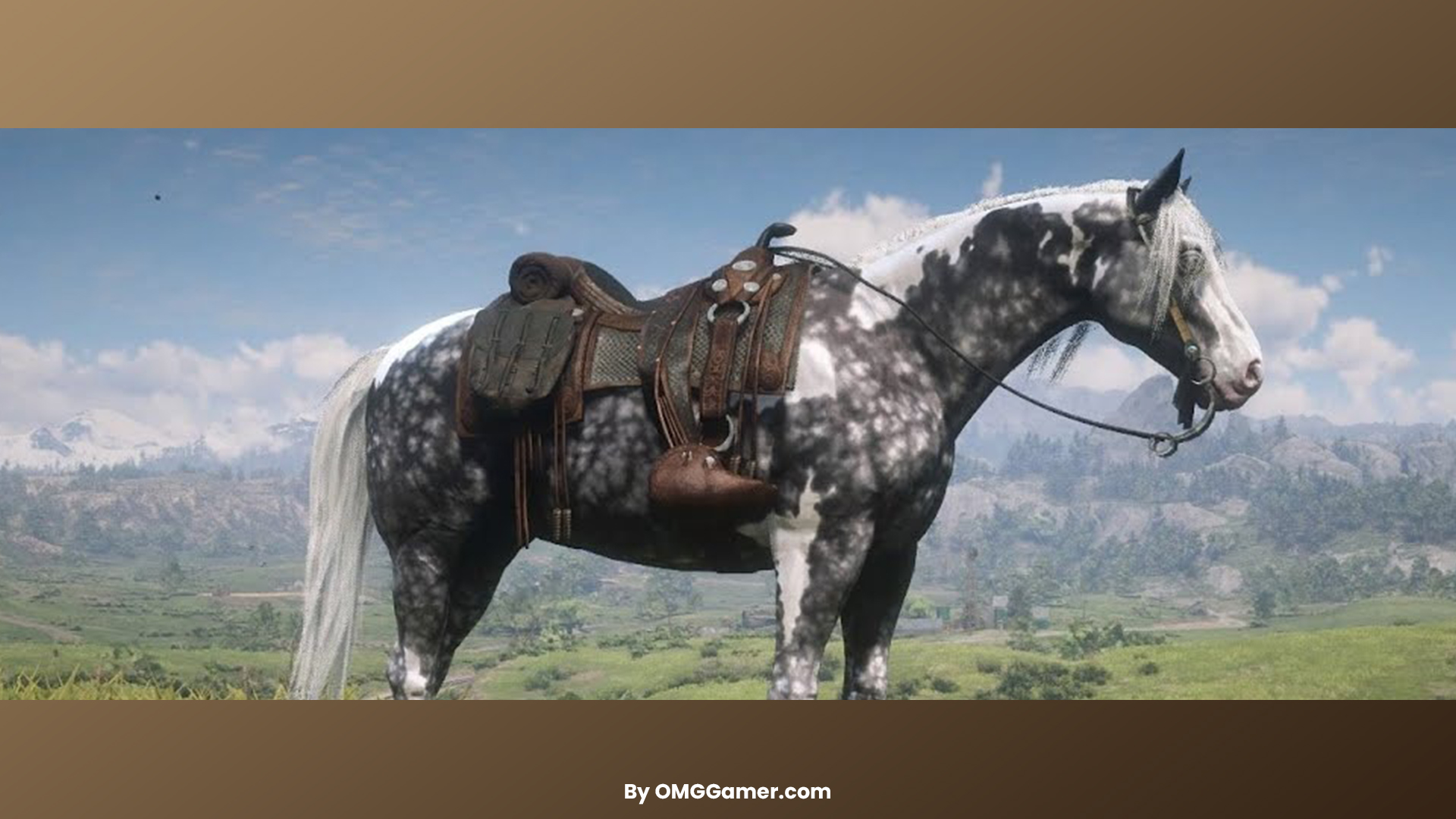 Missouri Fox Trotter (Silver Dapple Pinto) Missouri Fox Trotter (Silver Dapple Pinto)