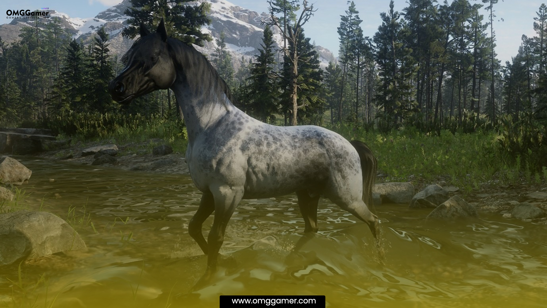 Nokota RDR 2 Horse Nokota RDR 2 Horse