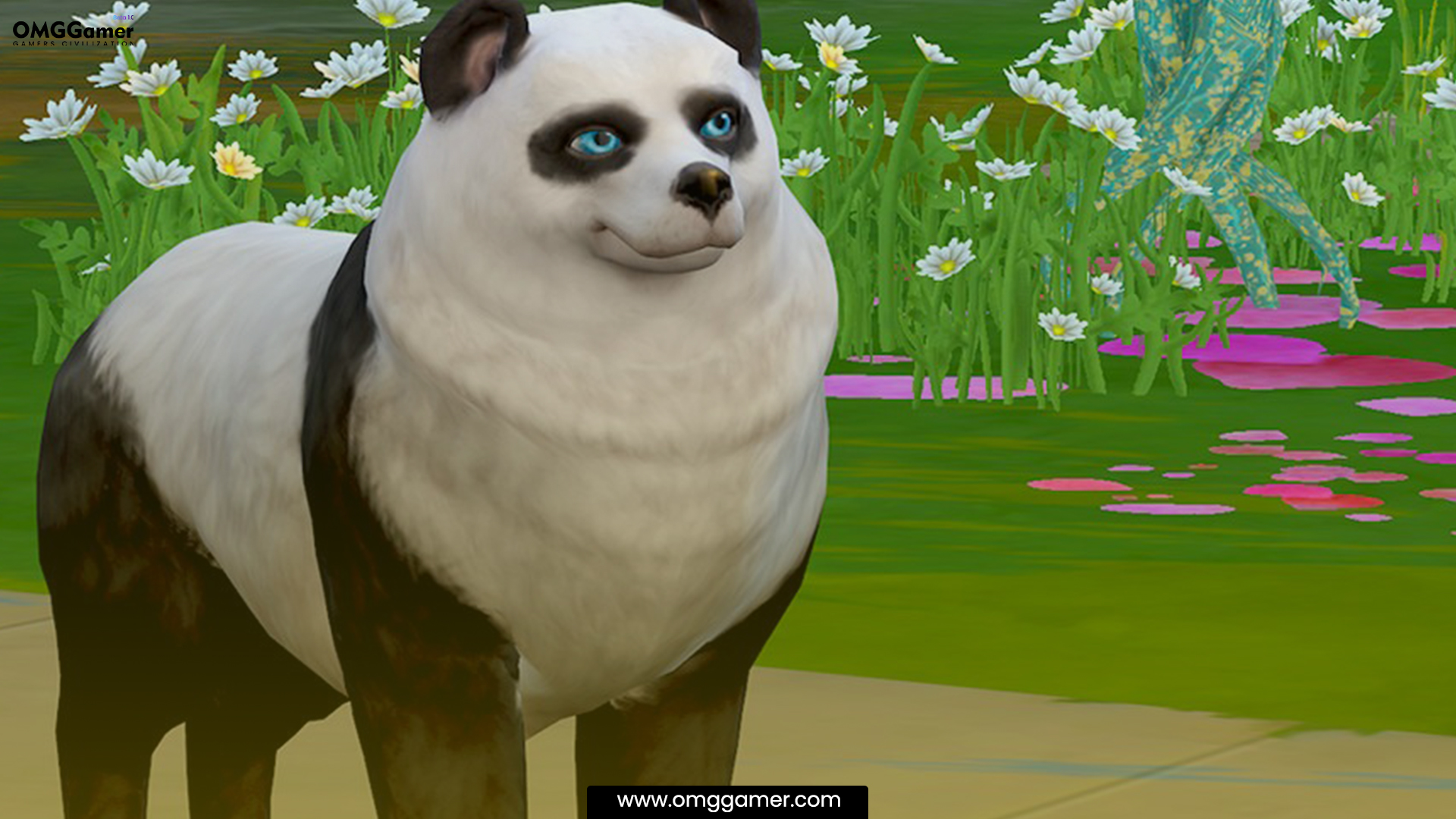 Panda Maximus Panda Maximus