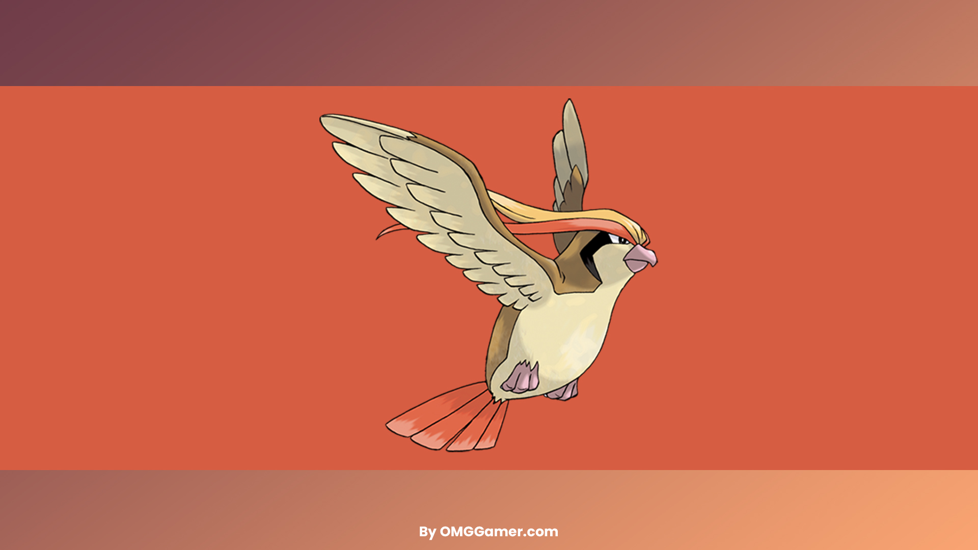 Pidgeot Pidgeot