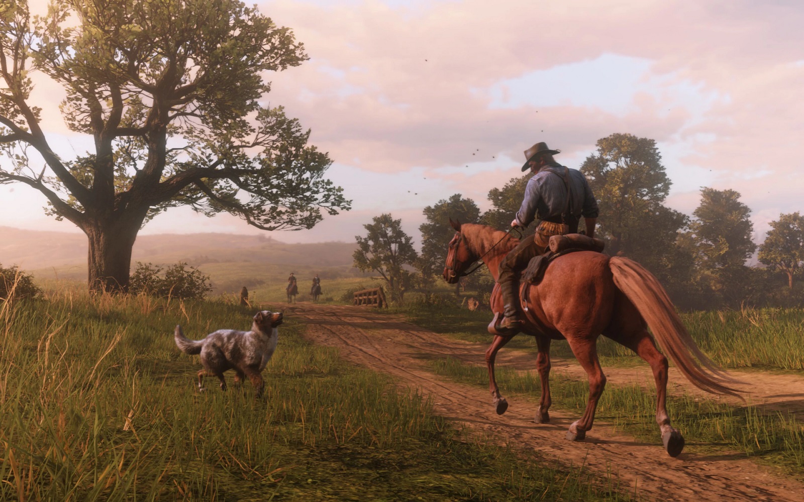 Red Dead Redemption 2 Horses Red Dead Redemption 2 Horses