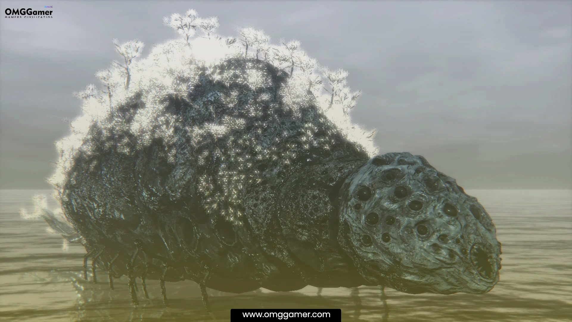 Rom The Vacuous Spider: Bloodborne Bosses Rom The Vacuous Spider: Bloodborne Bosses