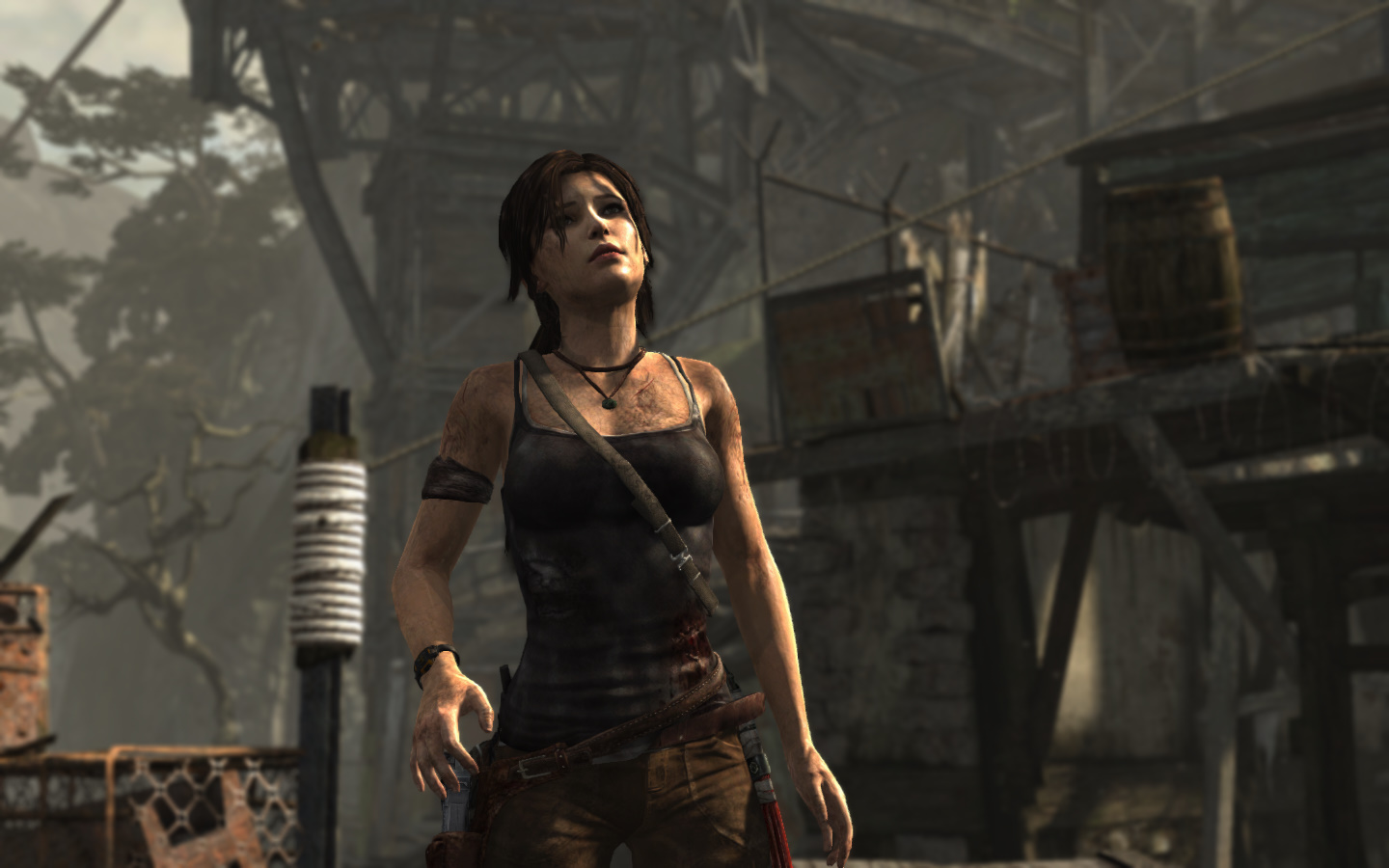 Tomb Raider (2013) Tomb Raider (2013)