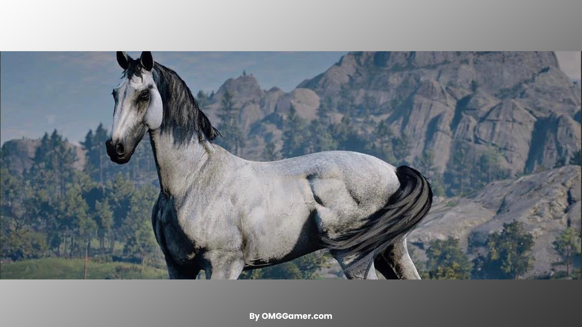 Turkoman (Gold Silver) Turkoman (Gold Silver)