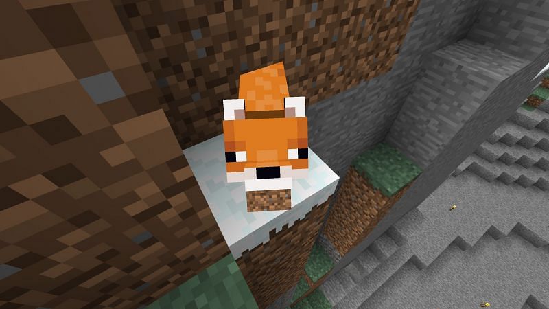 Types-of-Foxes-in-Minecraft Types-of-Foxes-in-Minecraft