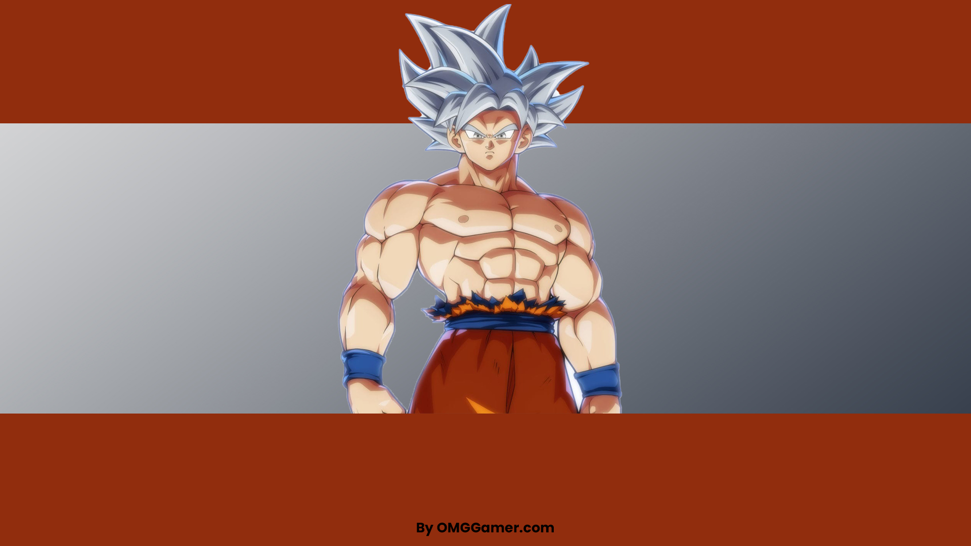 Ultra Instinct Goku Ultra Instinct Goku
