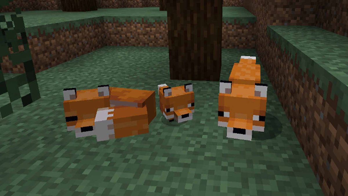 berry-to-one-fox-minecraft berry-to-one-fox-minecraft