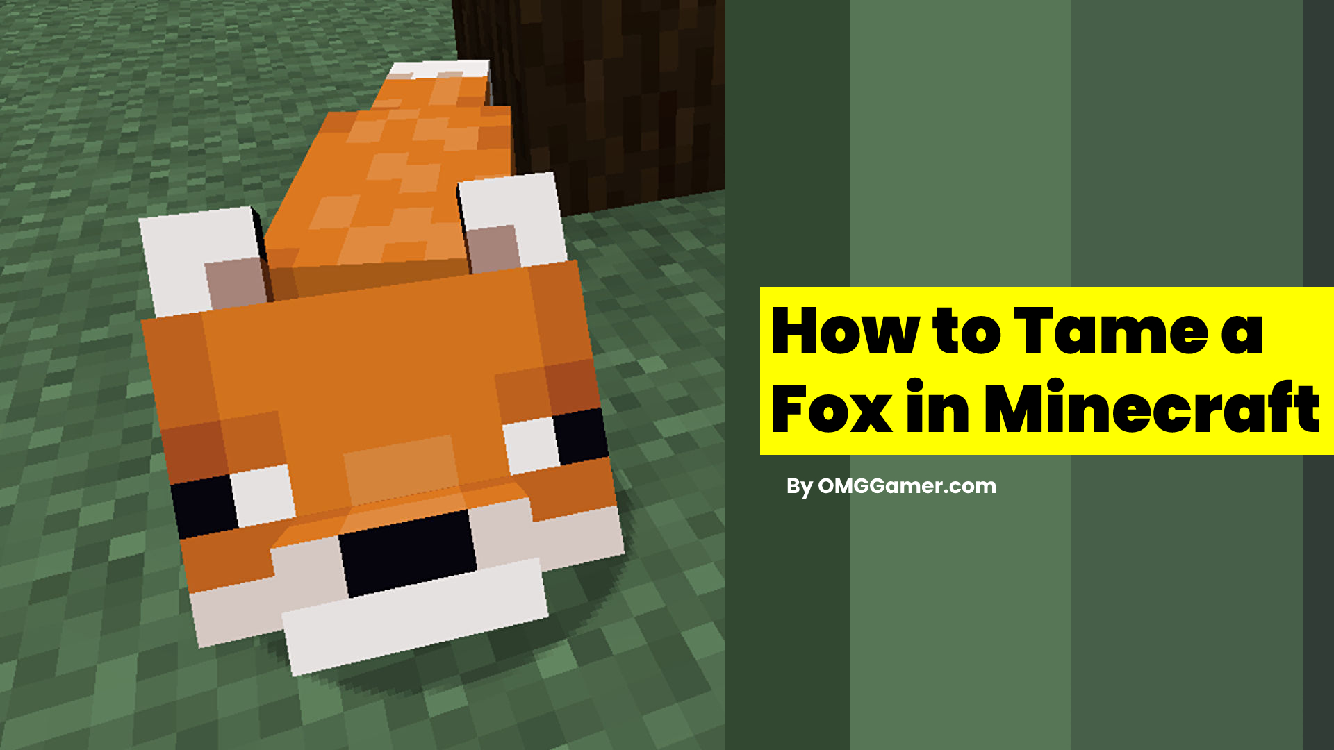 How to Tame a Fox in Minecraft [2024] | White & Loyal Fox